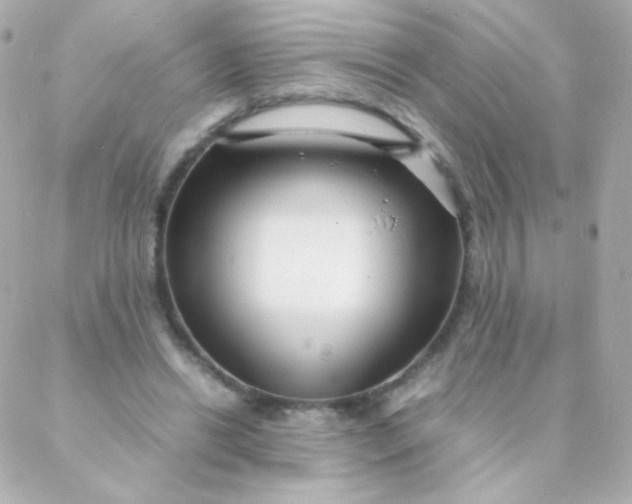 X0000088130446200705291337