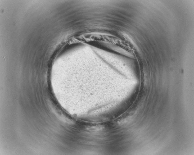 X0000088130447200705291337