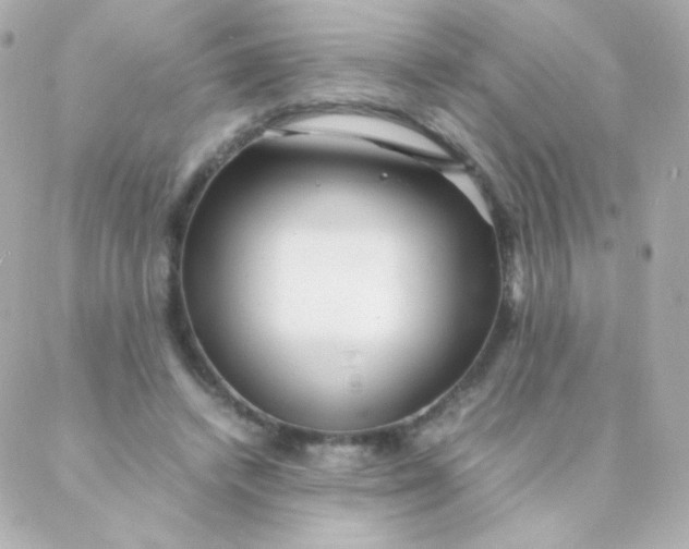 X0000088130448200705291337