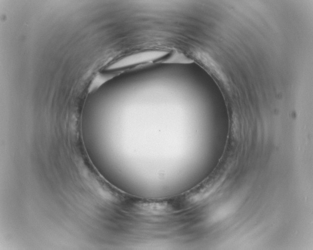 X0000088130449200705291337