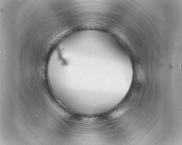 X0000088130450200705291337