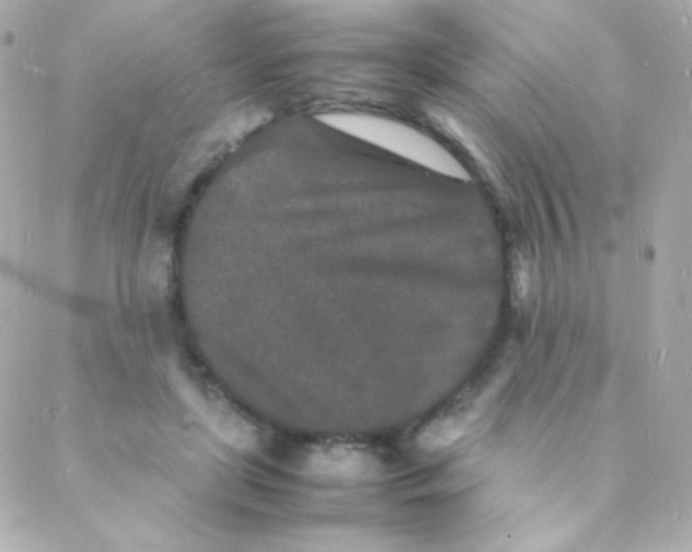 X0000088130451200705291337