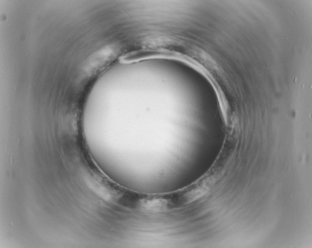 X0000088130452200705291337