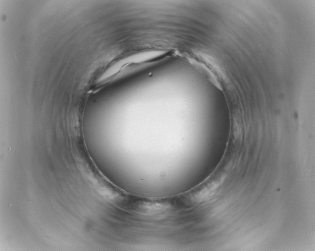 X0000088130453200705291337