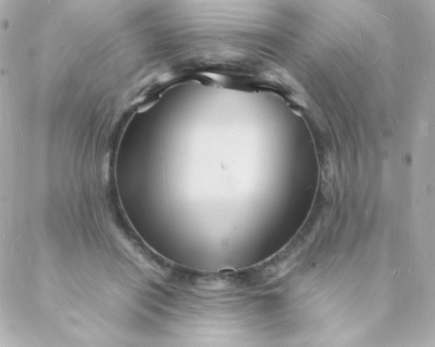 X0000088130454200705291337