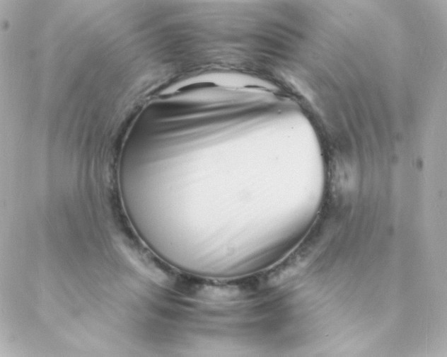 X0000088130455200705291337