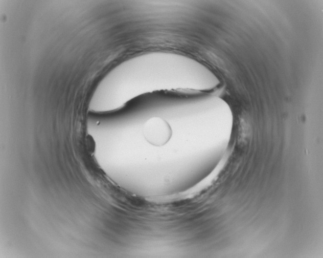 X0000088130456200705291337