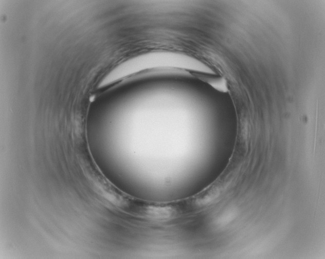 X0000088130457200705291337