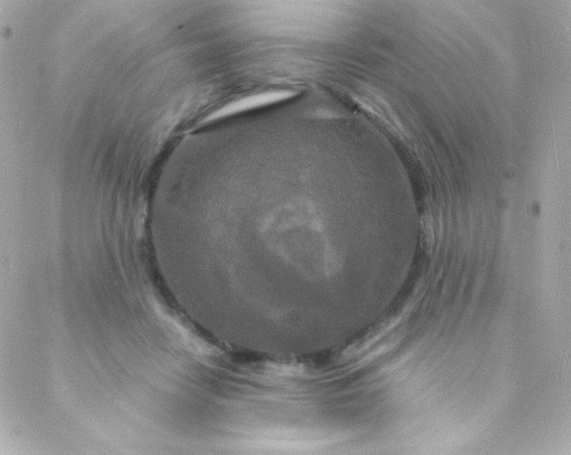 X0000088130458200705291337