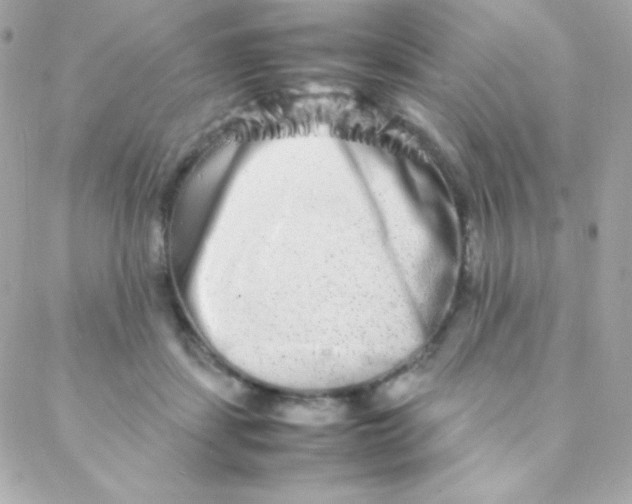 X0000088130459200705291337