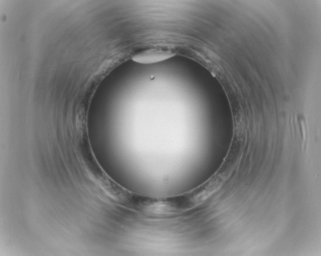 X0000088130460200705291337