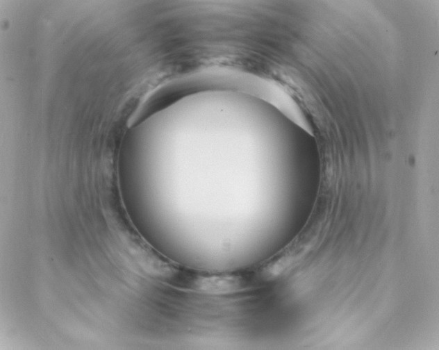 X0000088130461200705291337