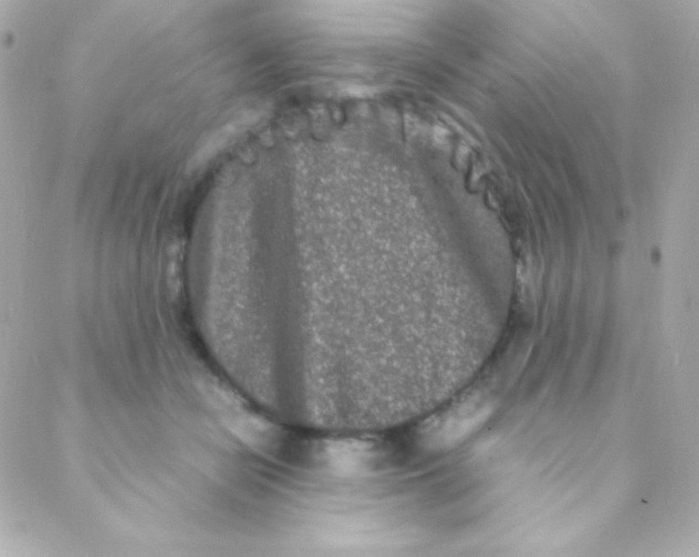 X0000088130462200705291337