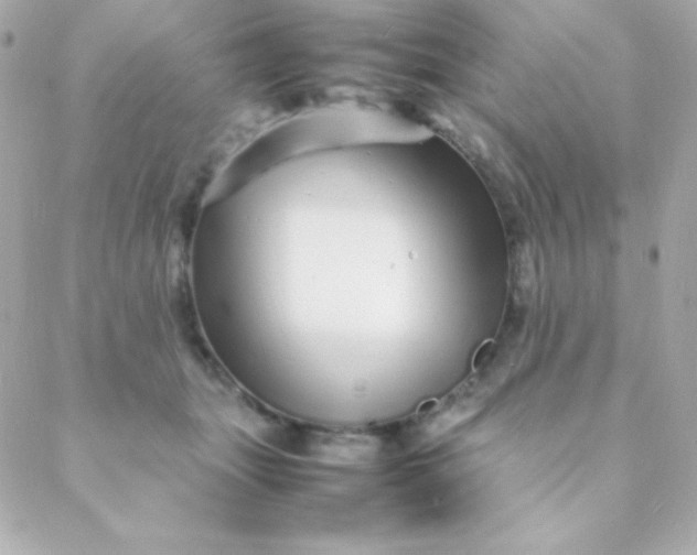 X0000088130463200705291337