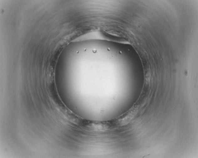 X0000088130464200705291337