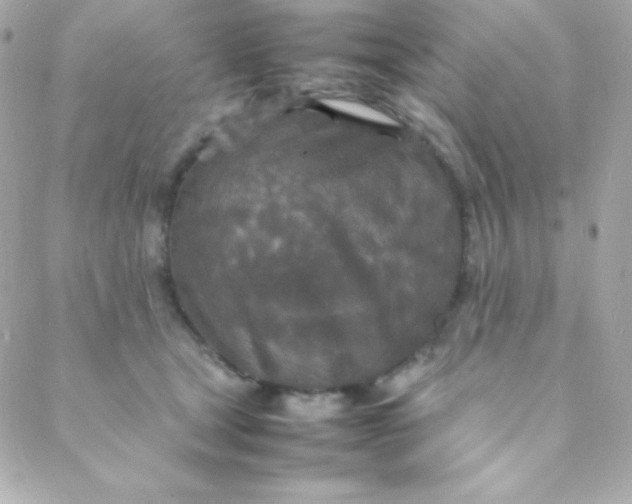 X0000088130465200705291337