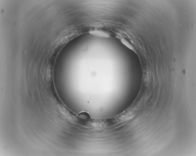 X0000088130466200705291337