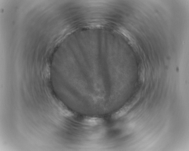 X0000088130467200705291337