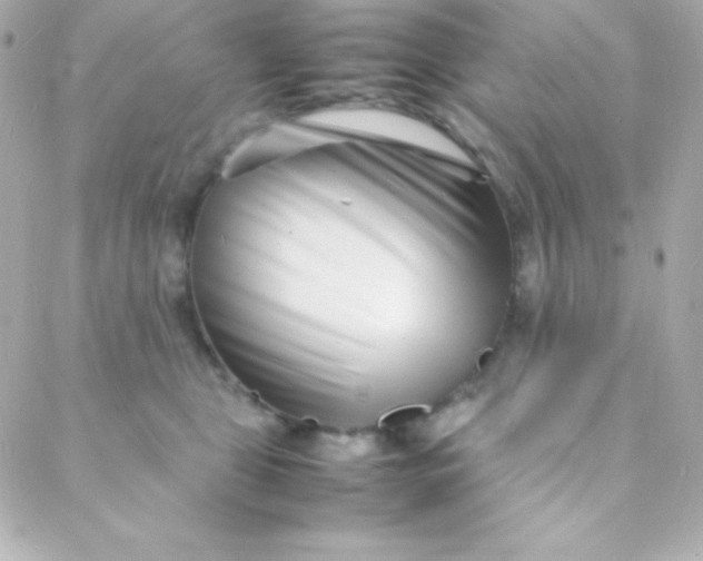 X0000088130469200705291337