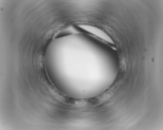 X0000088130470200705291337