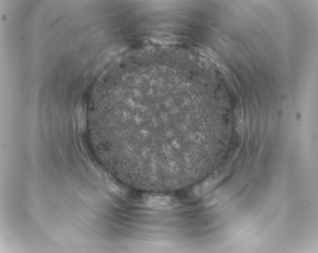 X0000088130471200705291337