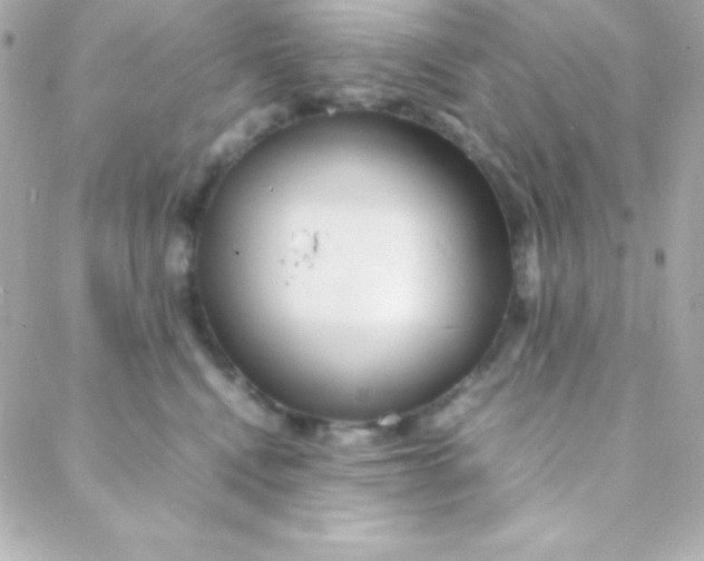 X0000088130472200705291337