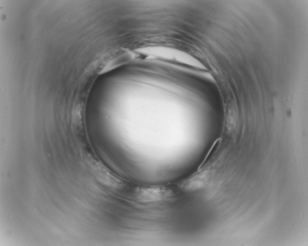 X0000088130473200705291337