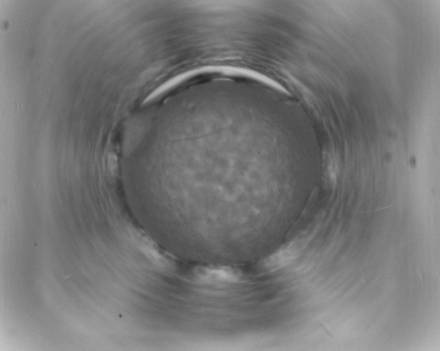 X0000088130475200705291337