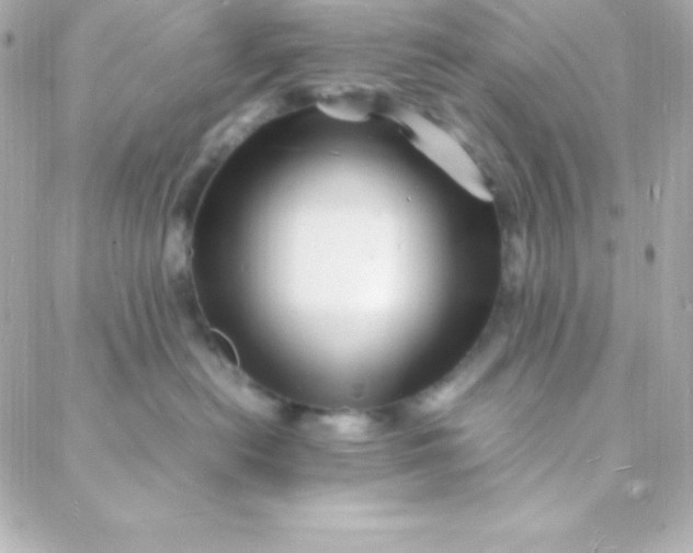 X0000088130478200705291337