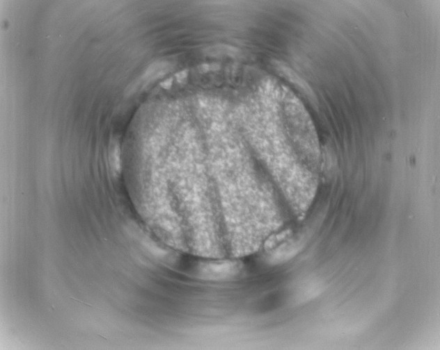 X0000088130479200705291337