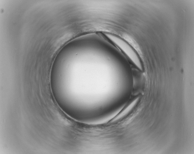 X0000088130481200705291337