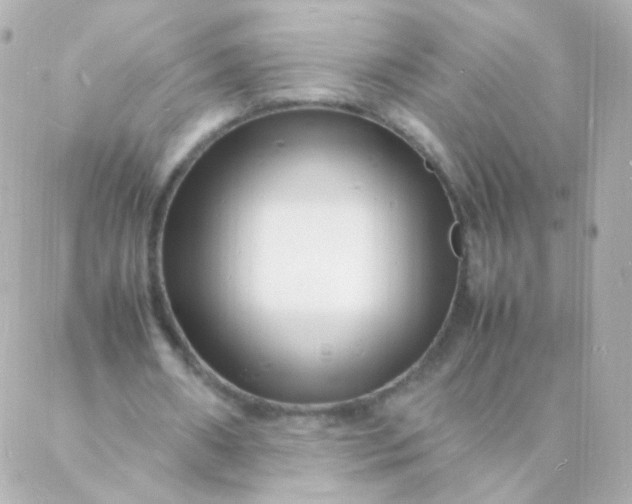 X0000088130482200705291337