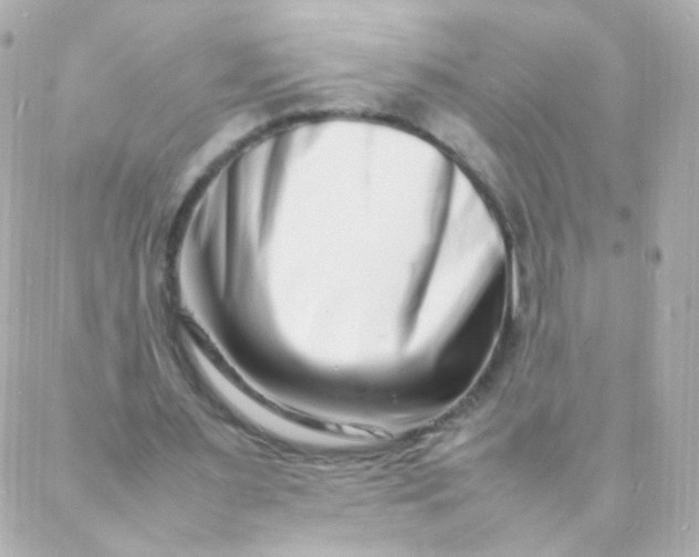 X0000088130483200705291337