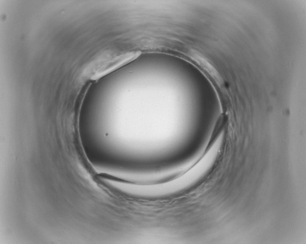 X0000088130485200705291337