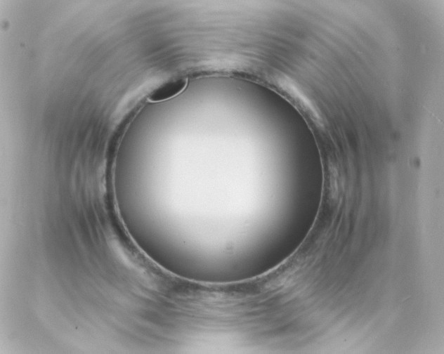 X0000088130486200705291336