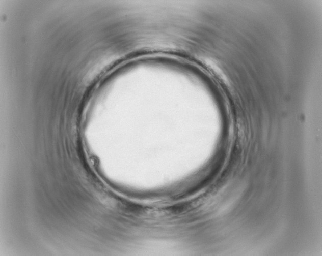 X0000088130487200705291336