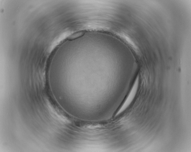 X0000088130488200705291336