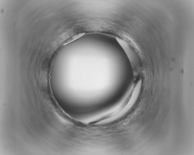 X0000088130489200705291336