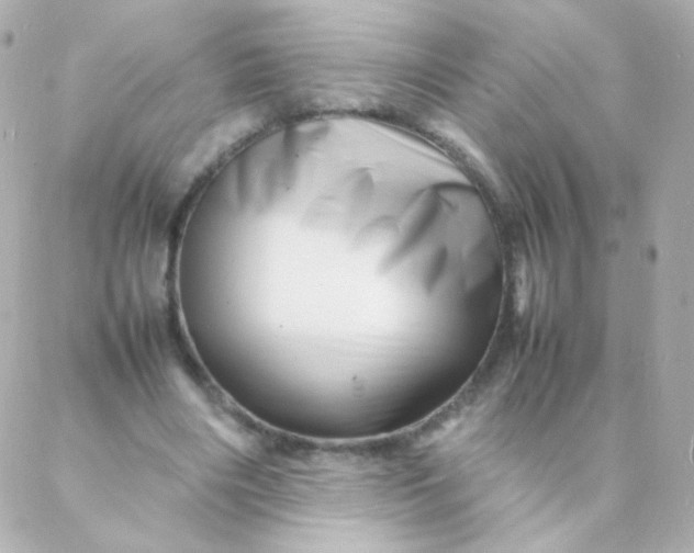 X0000088130490200705291336