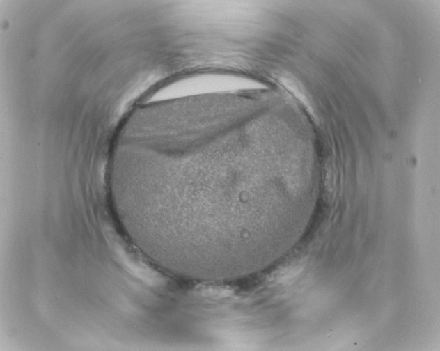 X0000088130491200705291336