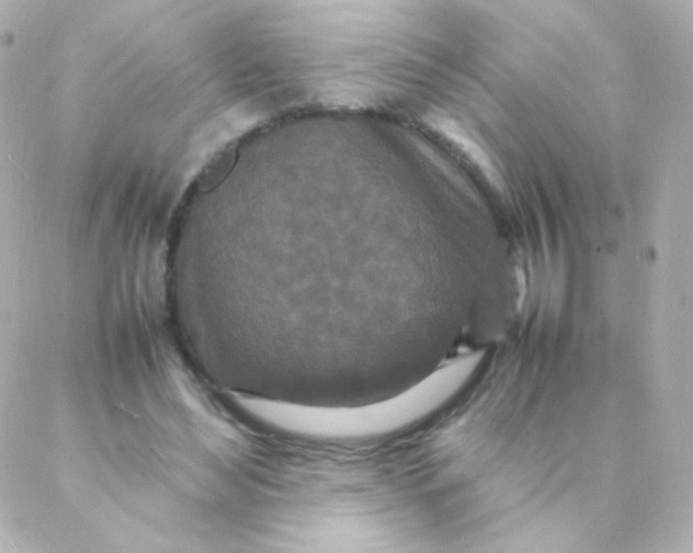 X0000088130492200705291336