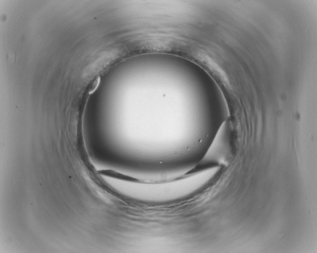 X0000088130493200705291336