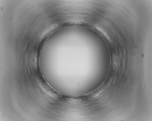 X0000088130494200705291336