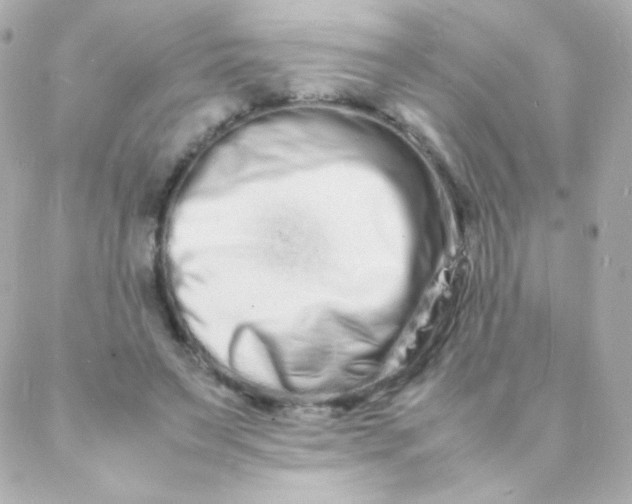 X0000088130495200705291336