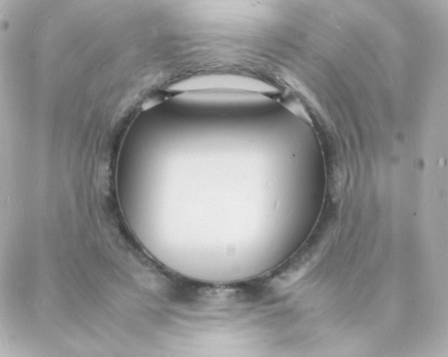 X0000088130497200705291336