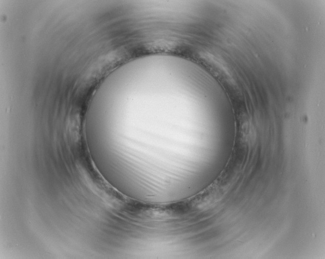 X0000088130498200705291336