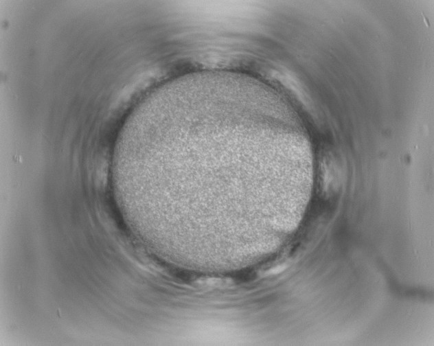 X0000088130499200705291336