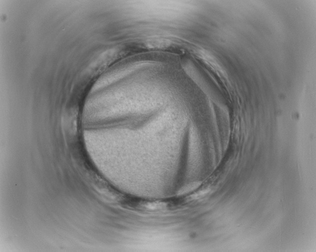 X0000088130501200705291336