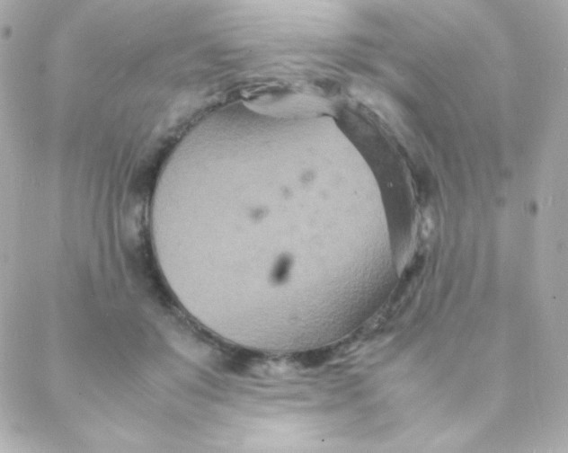 X0000088130503200705291336