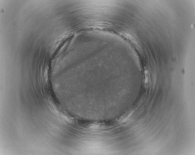 X0000088130504200705291336